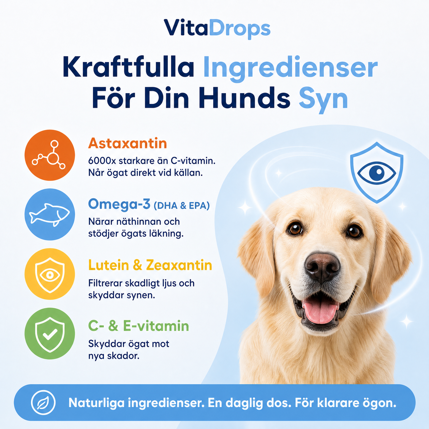 Stötta Din Hunds Syn Inifrån — Innan Problemen Förvärras, VitaDrops™
