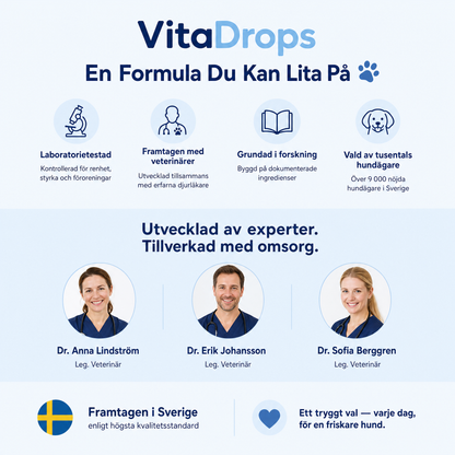 Stötta Din Hunds Syn Inifrån — Innan Problemen Förvärras, VitaDrops™
